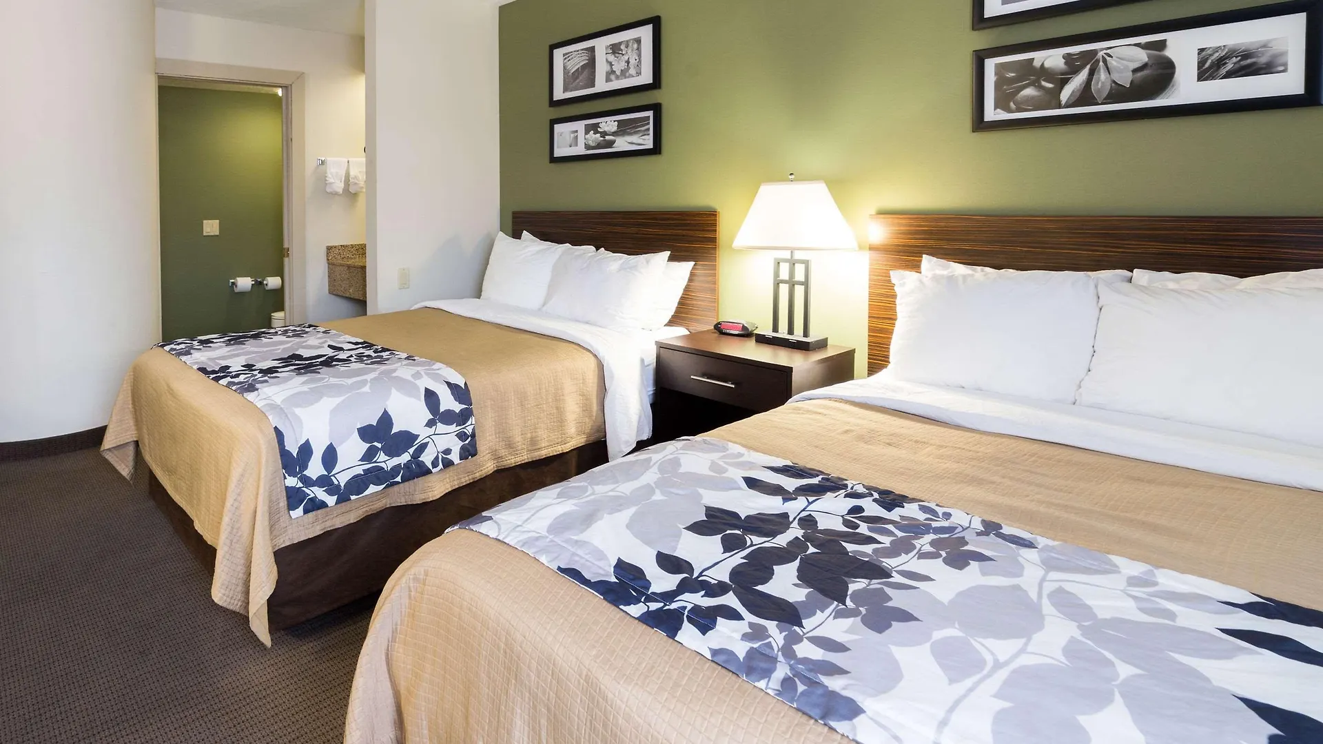Sleep Inn Airport Phoenix