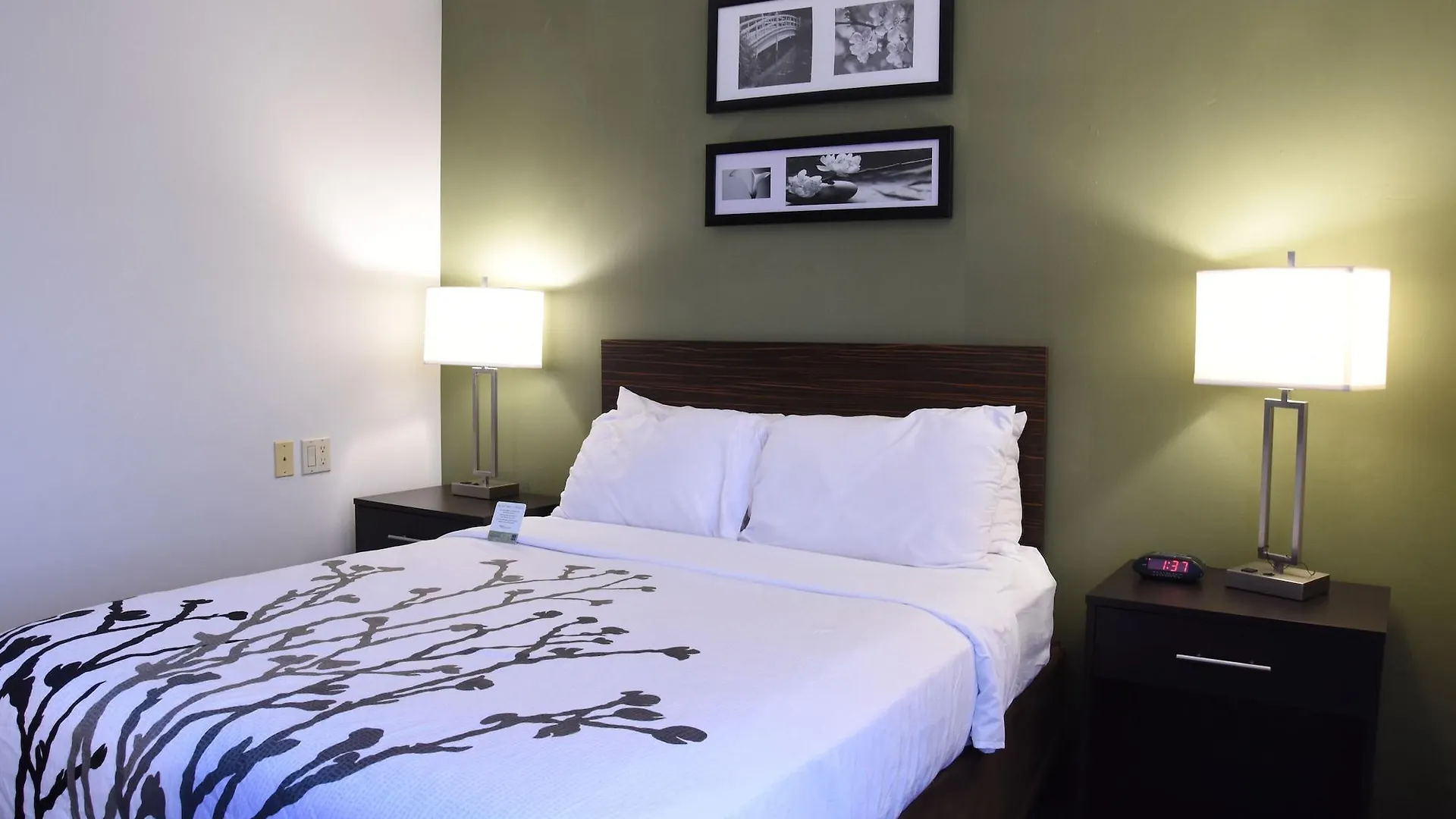 Hotel Sleep Inn Airport Phoenix